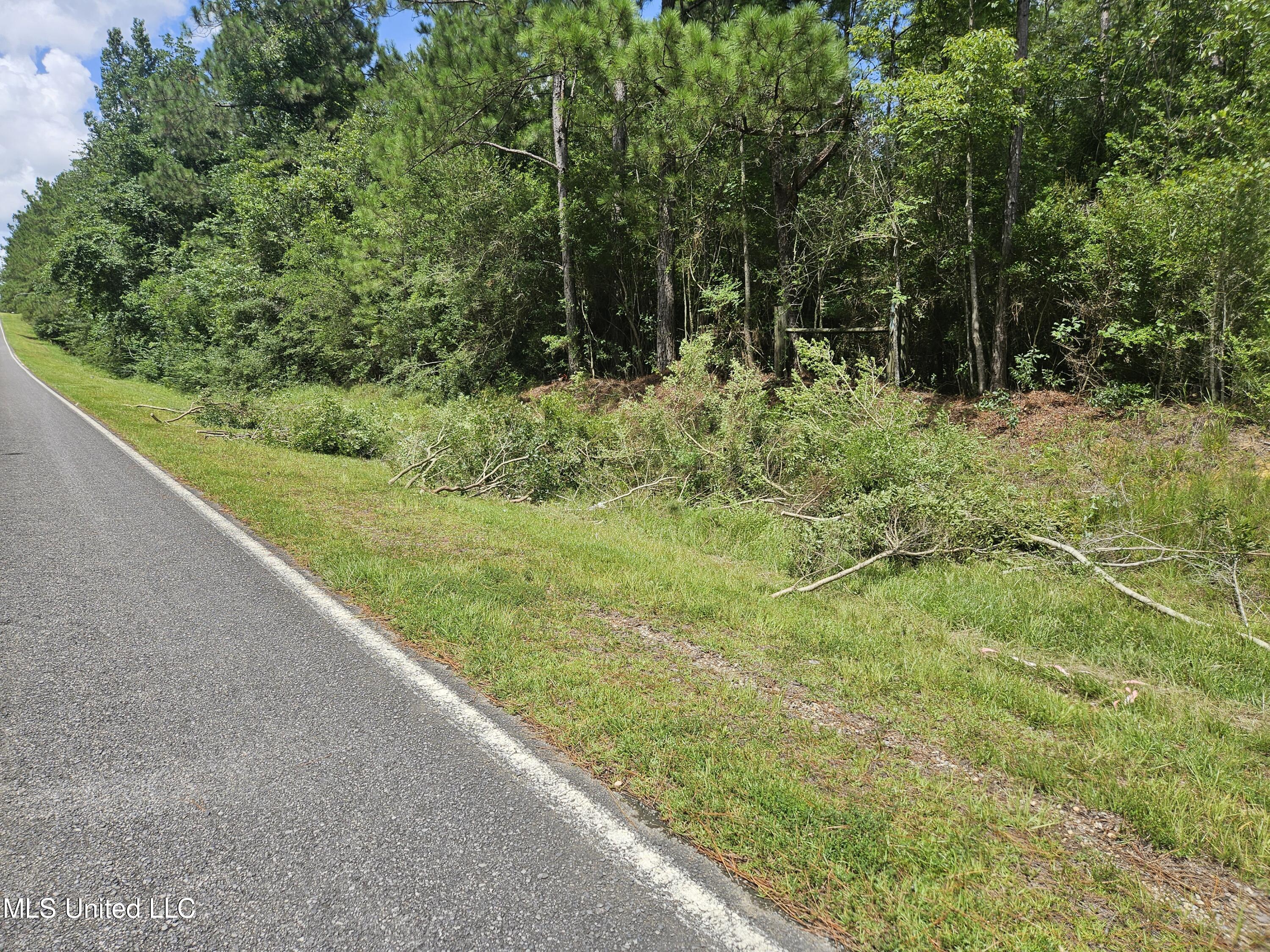 23150 Tally Shaw Road Perkinston, MS 39573 - Photo 2 of 8 South West Corner