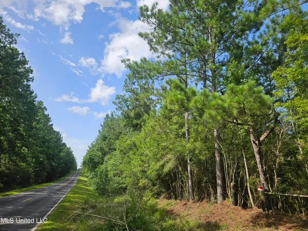 $65,000 | 23150 Tally Shaw Road, Perkinston, MS 39573