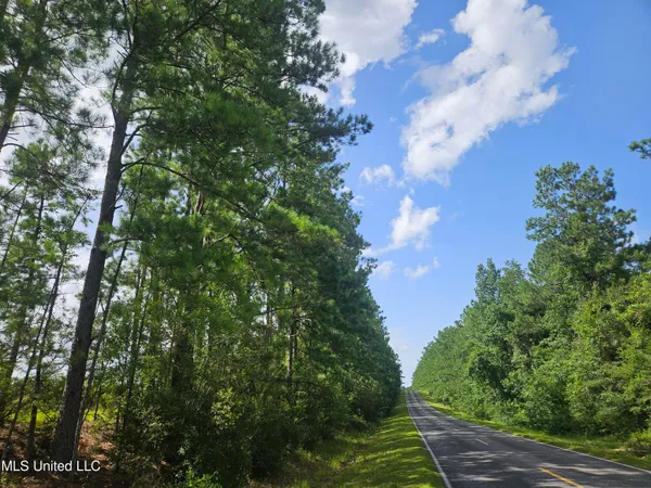 $65,000 | 23150 Tally Shaw Road, Perkinston, MS 39573