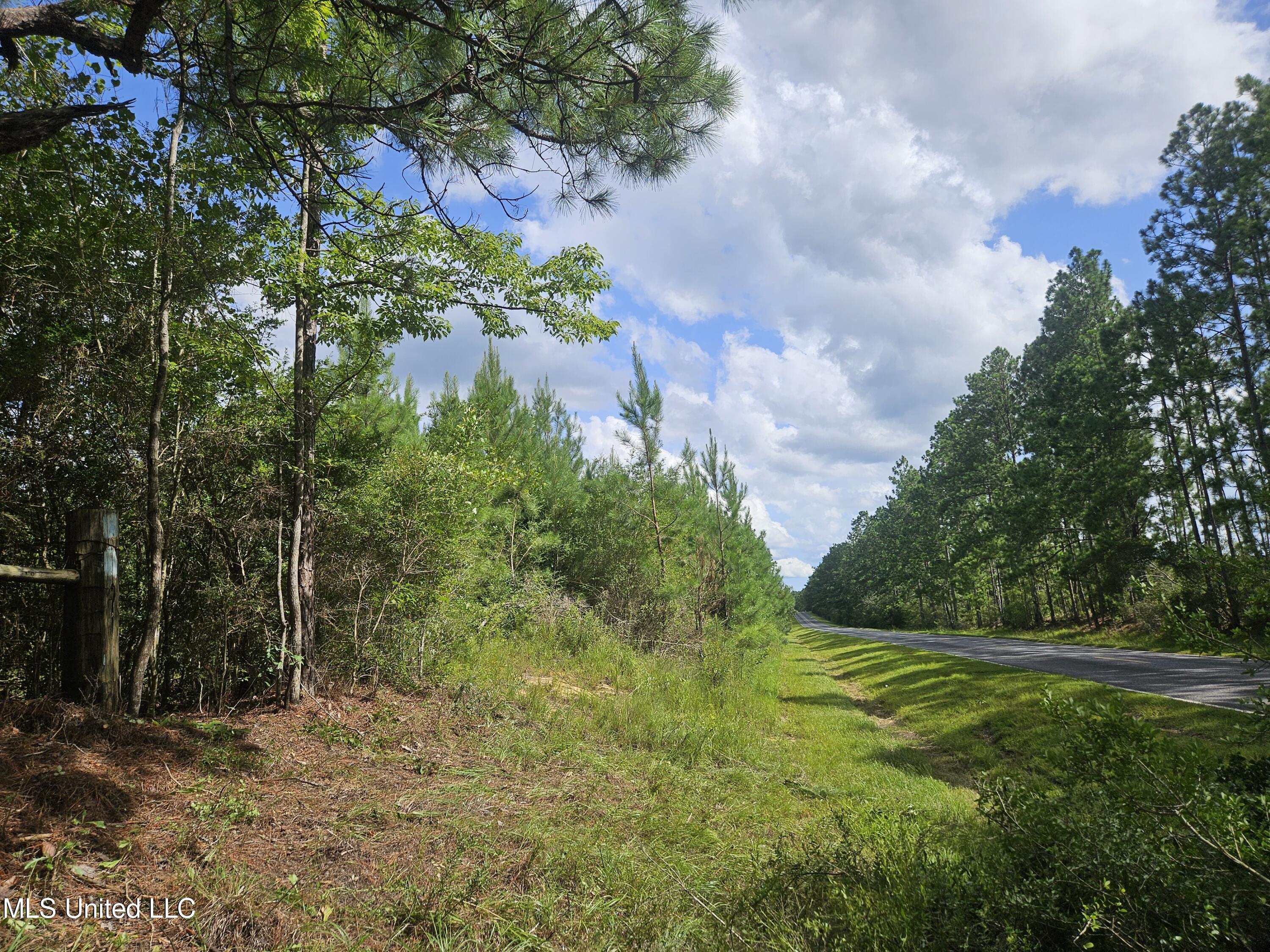 23150 Tally Shaw Road Perkinston, MS 39573 - Photo 5 of 8 Talley Shaw Road Souththwards