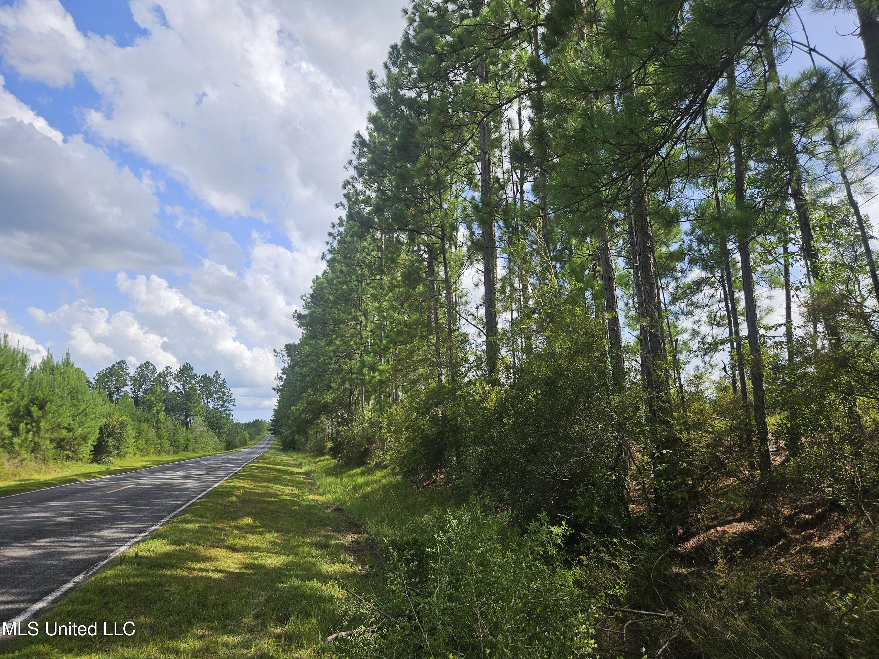 23150 Tally Shaw Road Perkinston, MS 39573 - Photo 6 of 8 Talley Shaw Road Souththwards