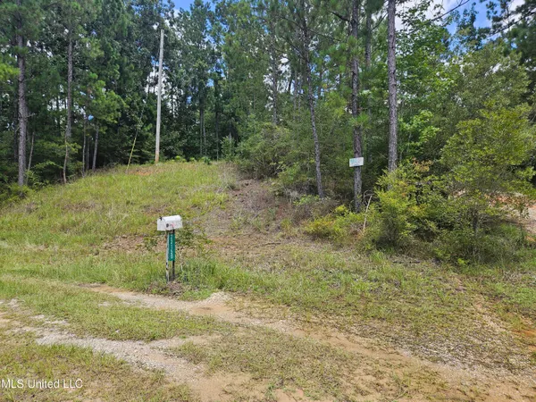 $65,000 | 23150 Tally Shaw Road, Perkinston, MS 39573