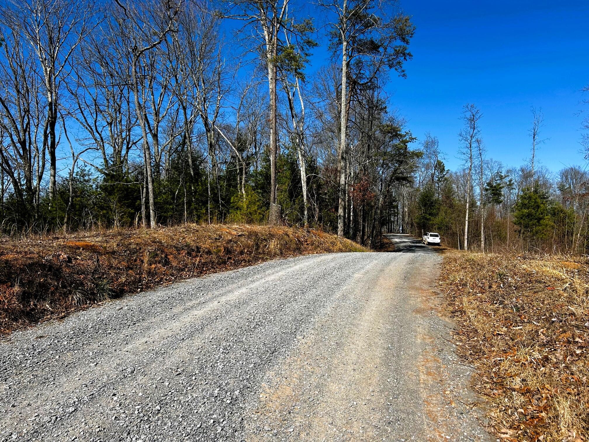107125 Chestnut Mountain Road Reliance, TN 37369 - Photo 24 of 32
