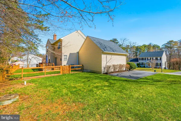a view of a backyard with plants and large trees
