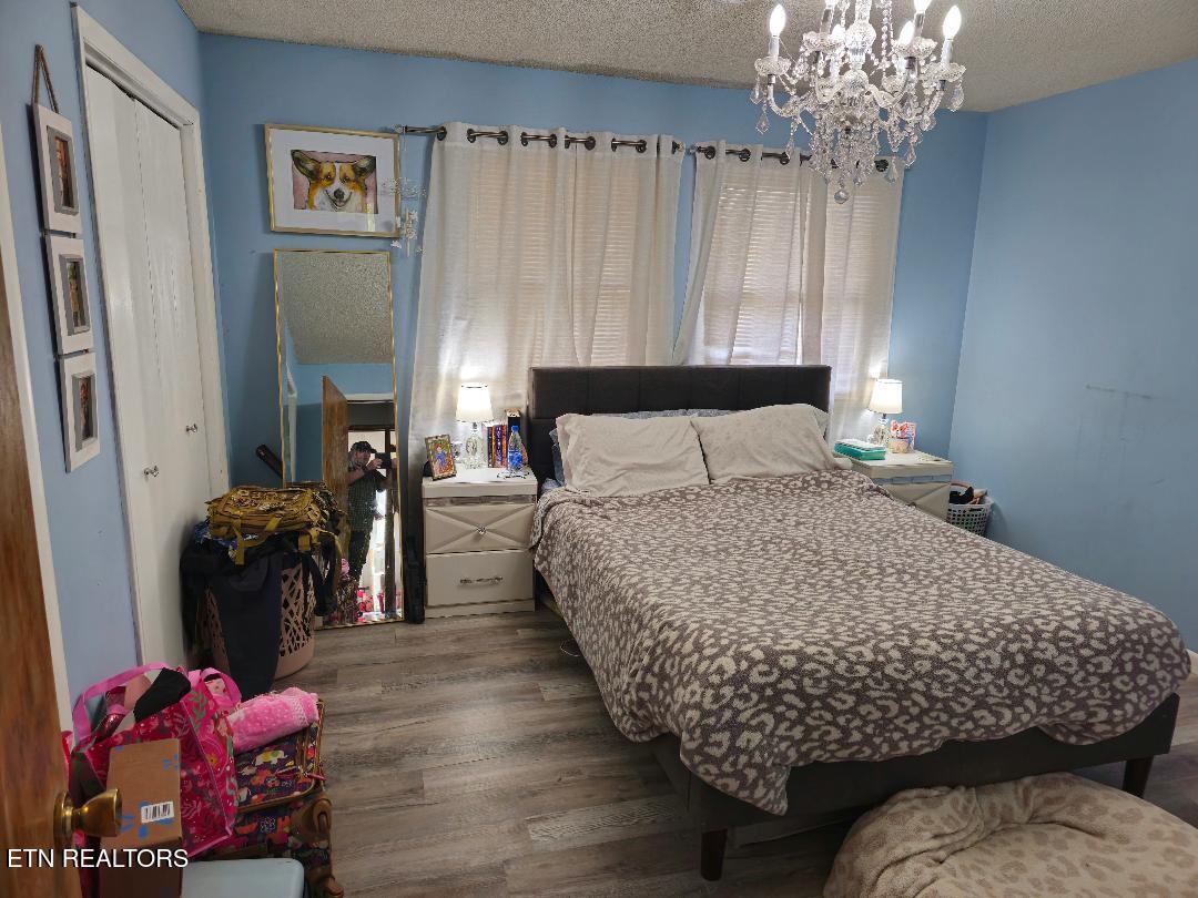 3451 Baker Springs Road White Pine, TN 37890 - Photo 13 of 27 12