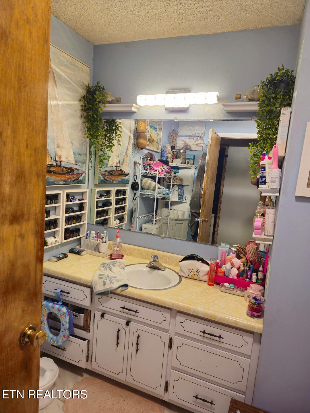 3451 Baker Springs Road White Pine, TN 37890 - Photo 16 of 27 pic6