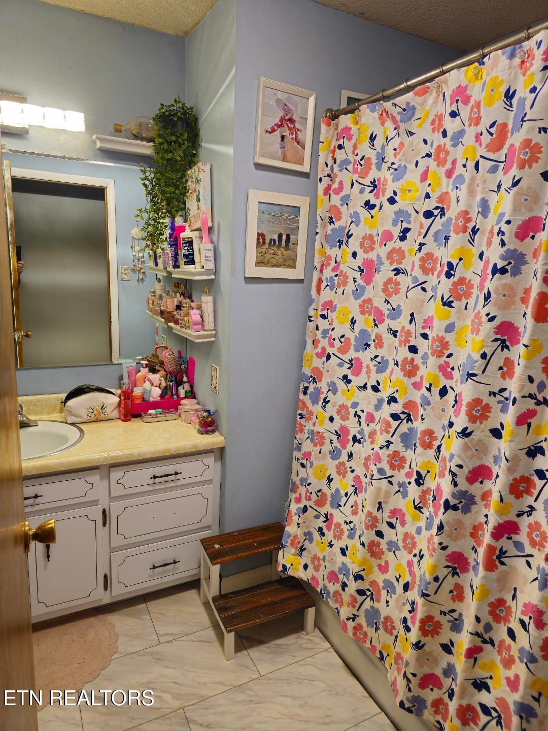 3451 Baker Springs Road White Pine, TN 37890 - Photo 17 of 27 pic7