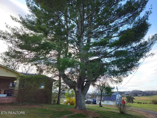$460,000 | 3451 Baker Springs Road, White Pine, TN 37890