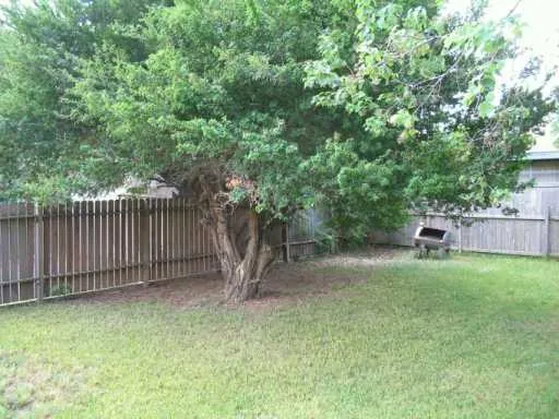 a backyard of a house with trees