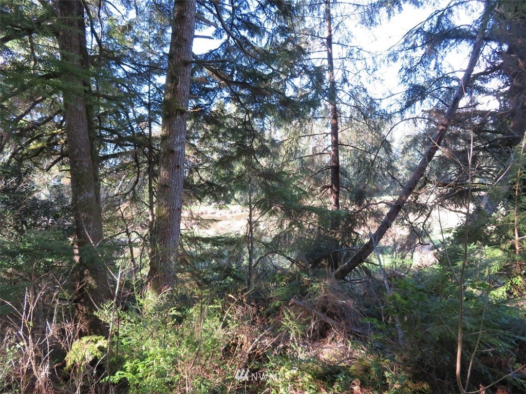 -xxx Ranta Road South Bend, WA 98586 - Photo 11 of 25 Gallery Image 11