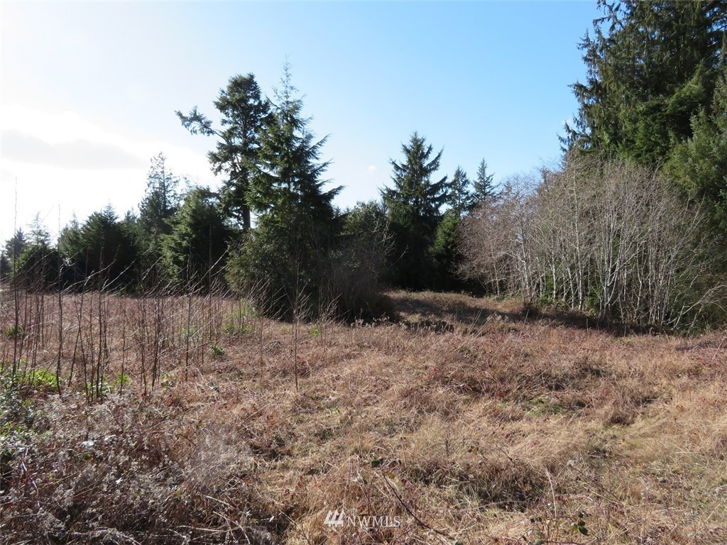 -xxx Ranta Road South Bend, WA 98586 - Photo 12 of 25 Gallery Image 12
