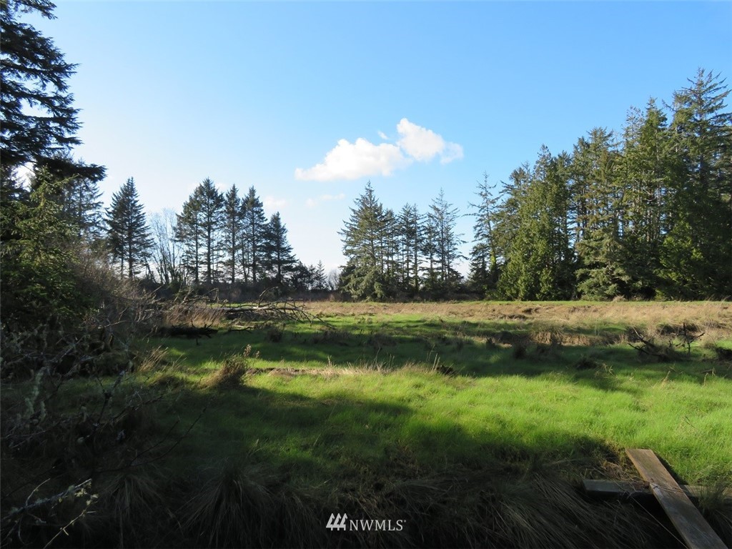 -xxx Ranta Road South Bend, WA 98586 - Photo 13 of 25 Gallery Image 13