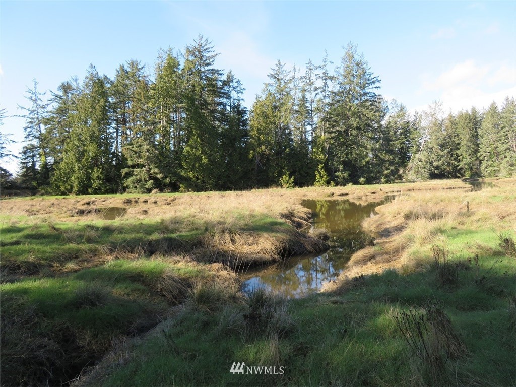 -xxx Ranta Road South Bend, WA 98586 - Photo 14 of 25 Gallery Image 14