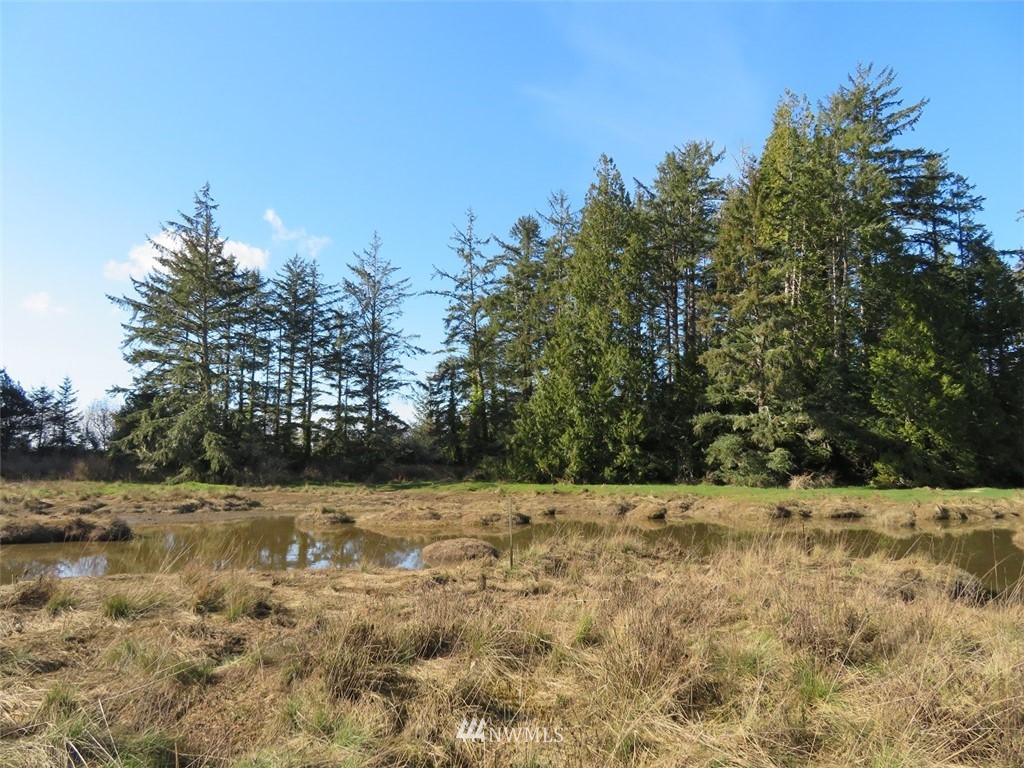 -xxx Ranta Road South Bend, WA 98586 - Photo 15 of 25 Gallery Image 15