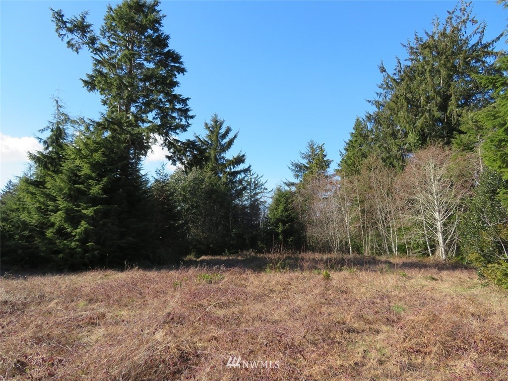 -xxx Ranta Road South Bend, WA 98586 - Photo 21 of 25 Gallery Image 21