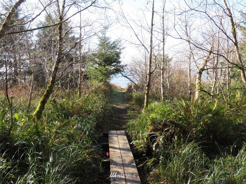 -xxx Ranta Road South Bend, WA 98586 - Photo 22 of 25 Gallery Image 22
