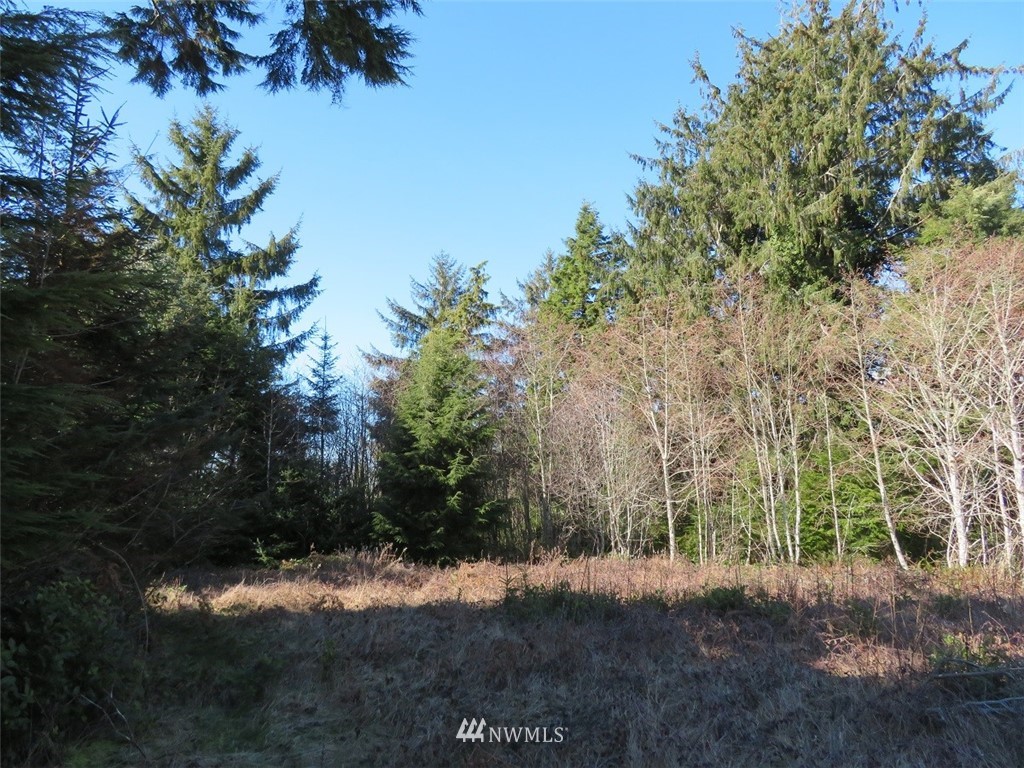 -xxx Ranta Road South Bend, WA 98586 - Photo 9 of 25 Gallery Image 9