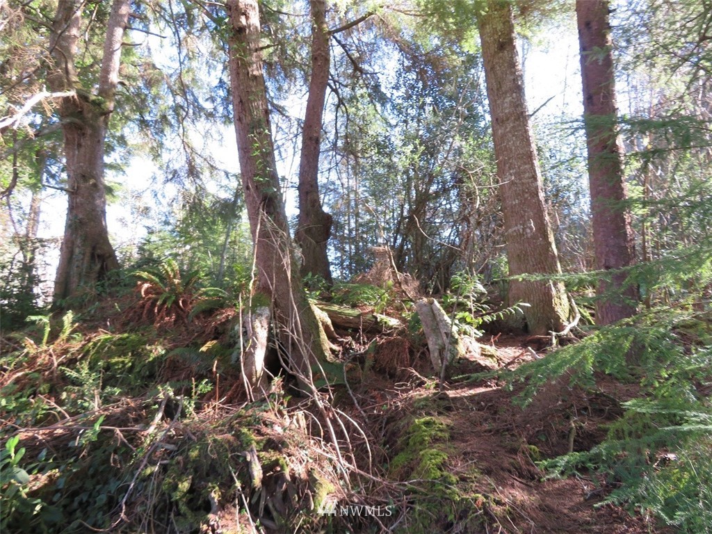-xxx Ranta Road South Bend, WA 98586 - Photo 10 of 25 Gallery Image 10