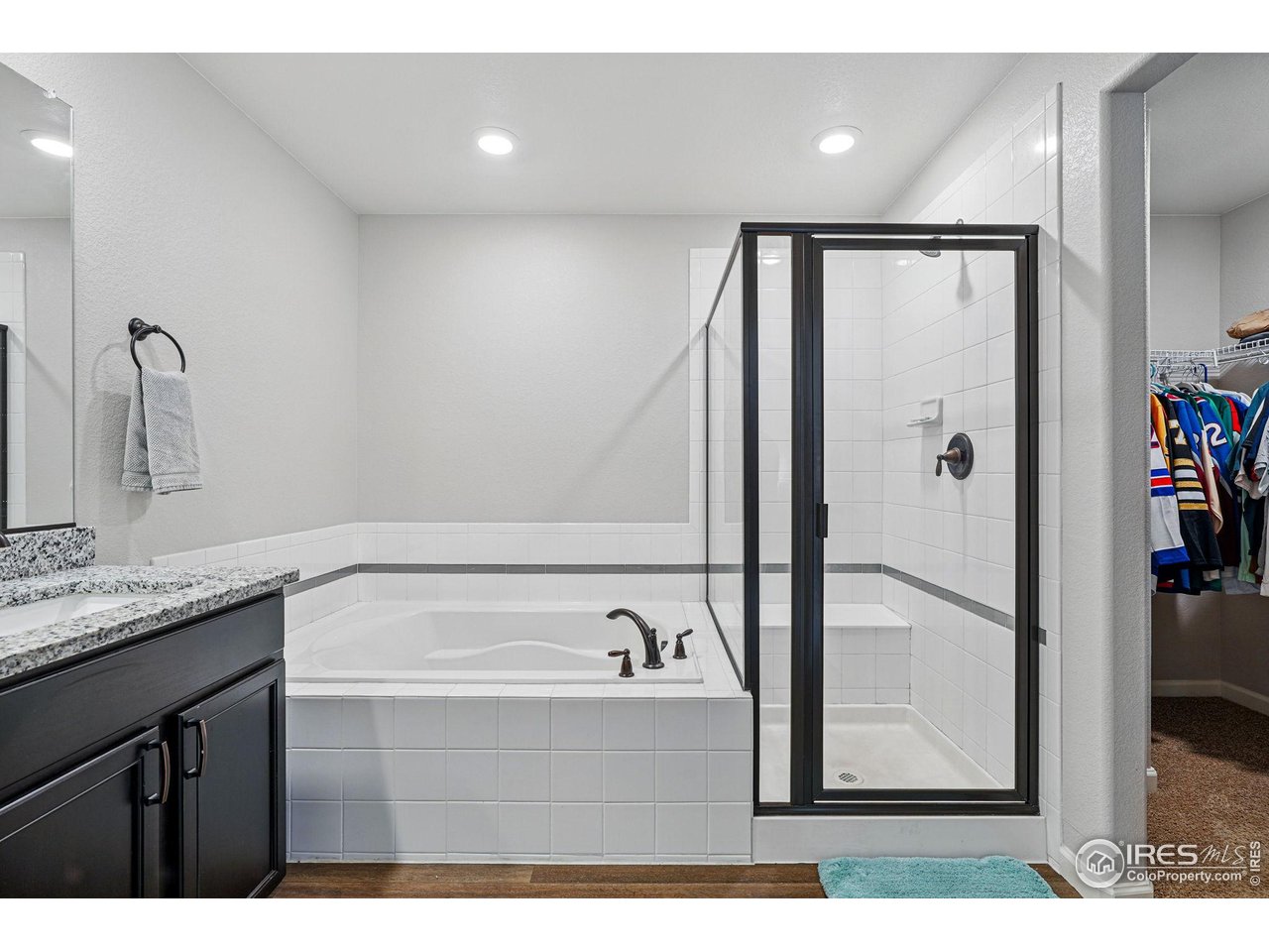 2310 Angus Street Mead, CO 80542 - Photo 24 of 39 a bathroom with a bathtub and a sink