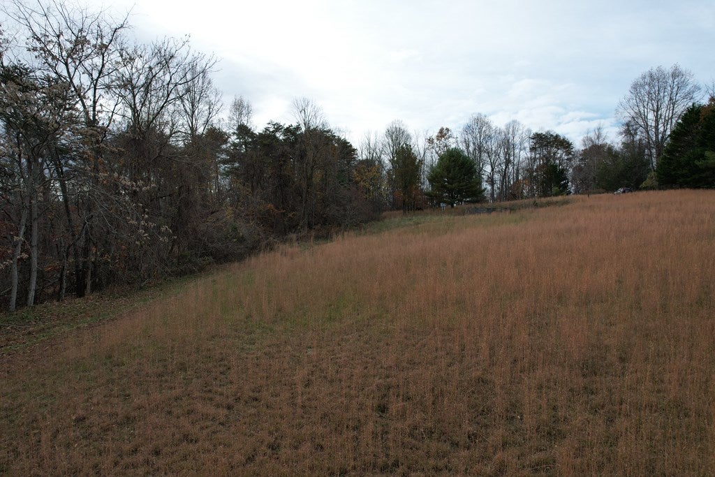 357 Bertha Farms Road Barren Springs, VA 24313 - Photo 23 of 30 Gallery Image 23