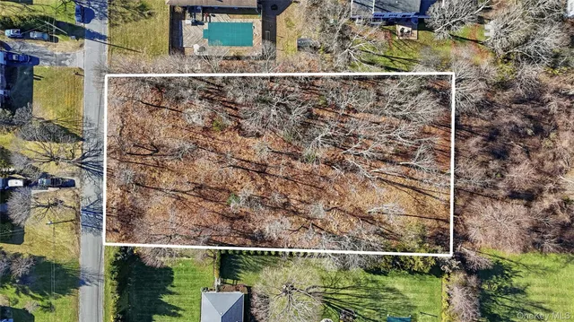 a view of a tree with a yard