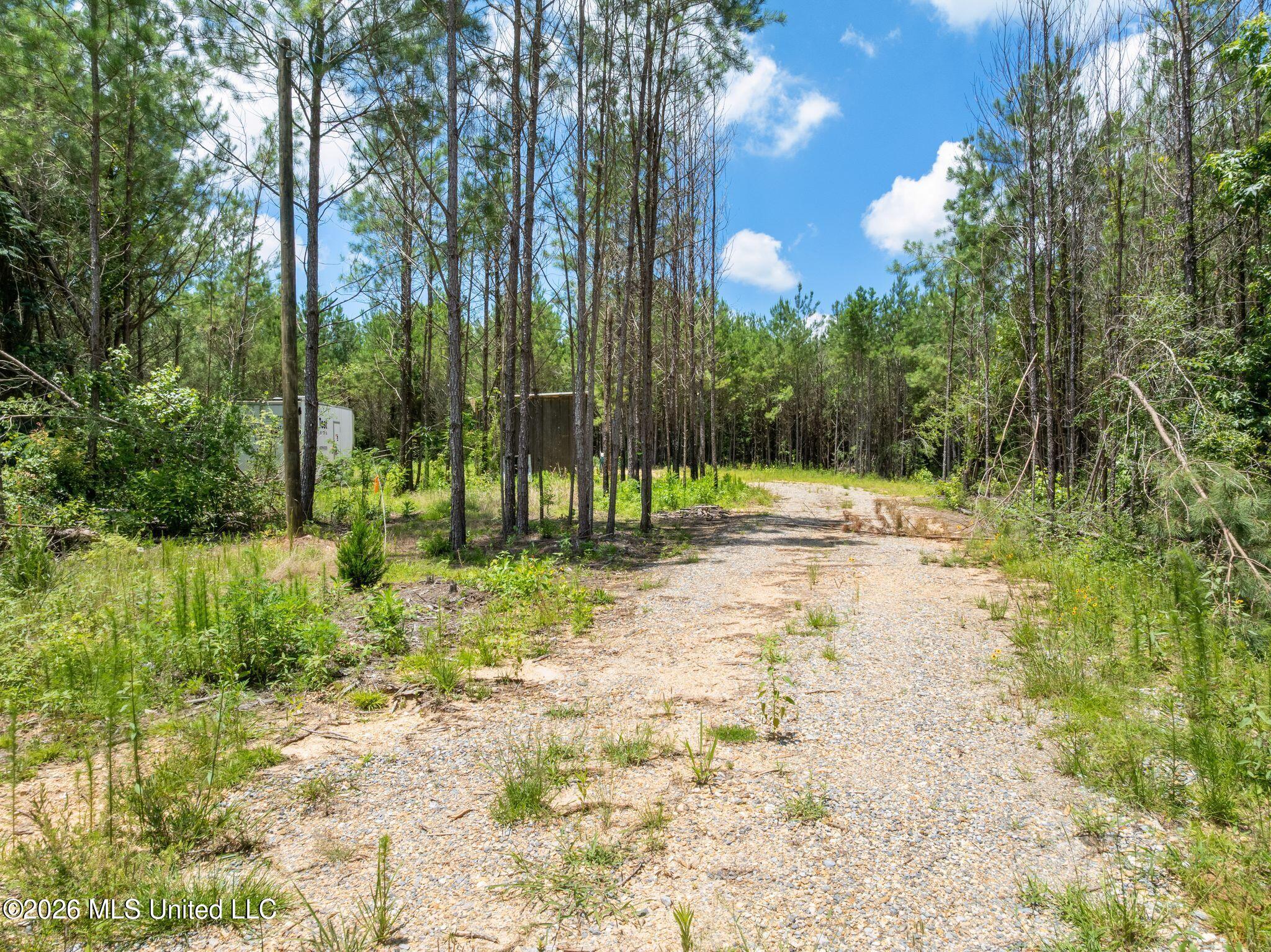 31-acres Ridgeland Road Bassfield, MS 39421 - Photo 5 of 27 85_Ridgeland_Rd-5