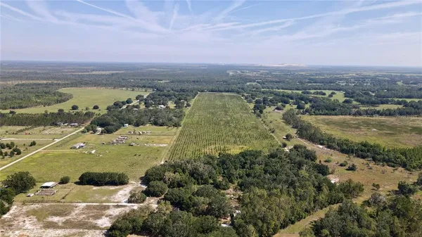 an aerial view of residential building and trees