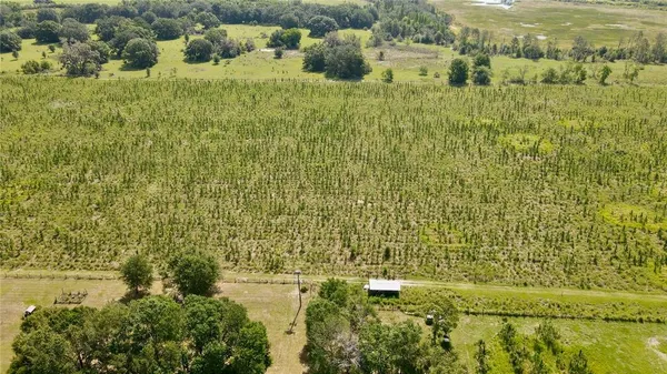 a view of residential houses with green field and large trees