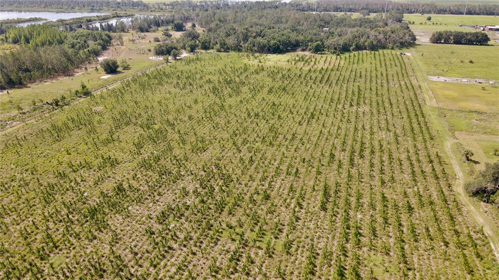 Undisclosed Address Lithia, FL 33547 - Photo 12 of 18 a view of a lake view