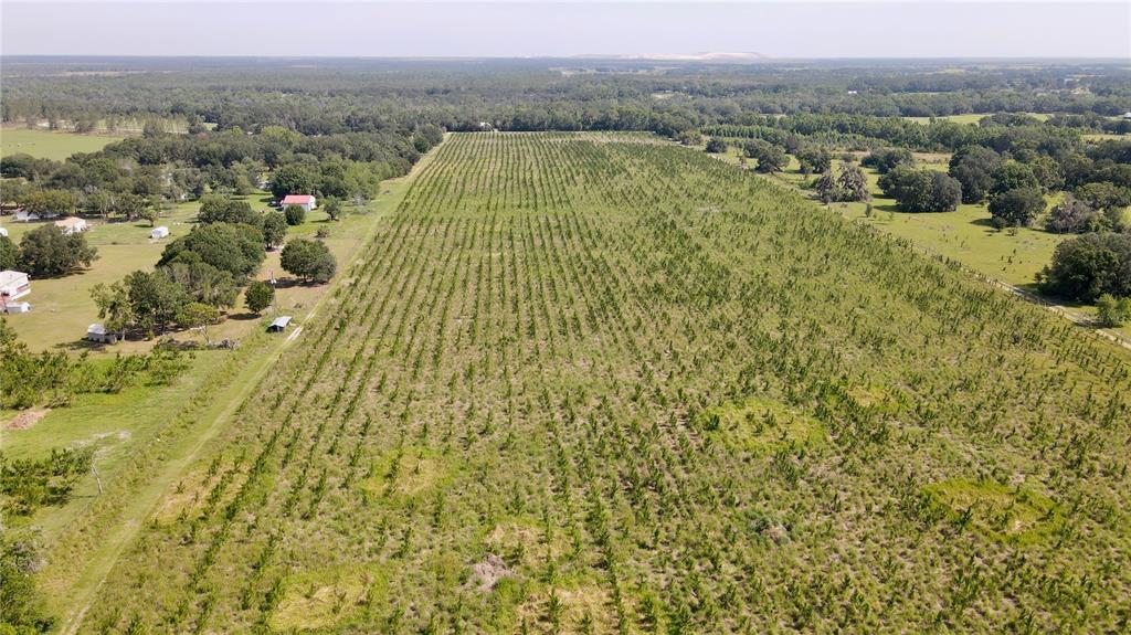 Undisclosed Address Lithia, FL 33547 - Photo 13 of 18 a view of a lake with mountains in the background