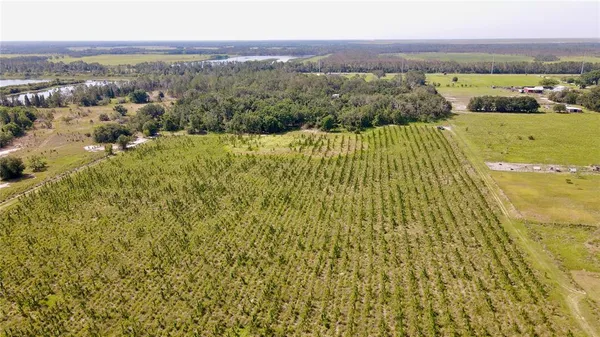 a view of city and mountain