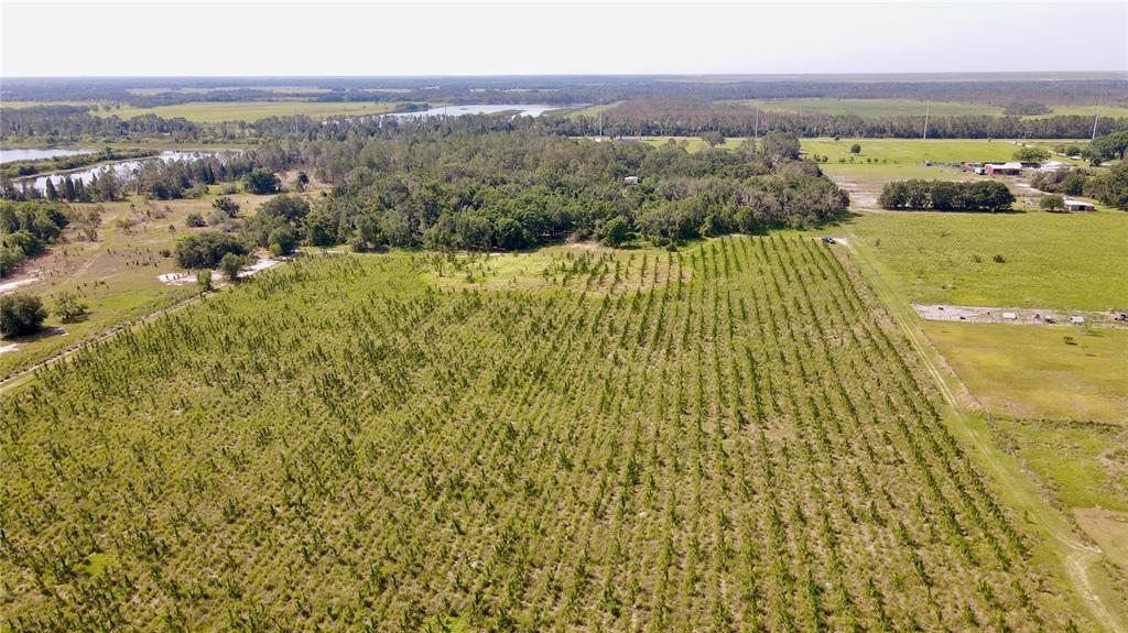 Undisclosed Address Lithia, FL 33547 - Photo 14 of 18 a view of city and mountain