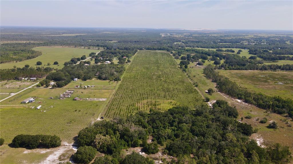 Undisclosed Address Lithia, FL 33547 - Photo 2 of 18 a view of a city with ocean view