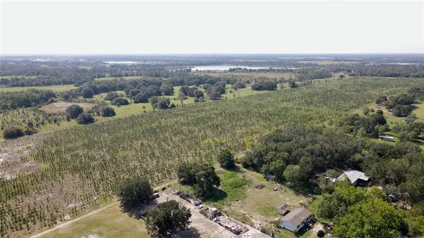 an aerial view of green landscape with trees and houses