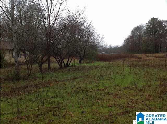 2695 Main Street Brent, AL 35034 - Photo 5 of 8