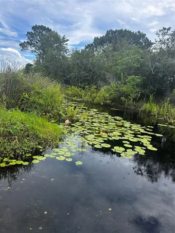 a view of a bench in a yard