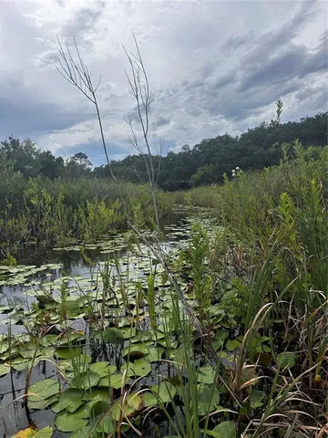 a view of a lake with a mountain in the background