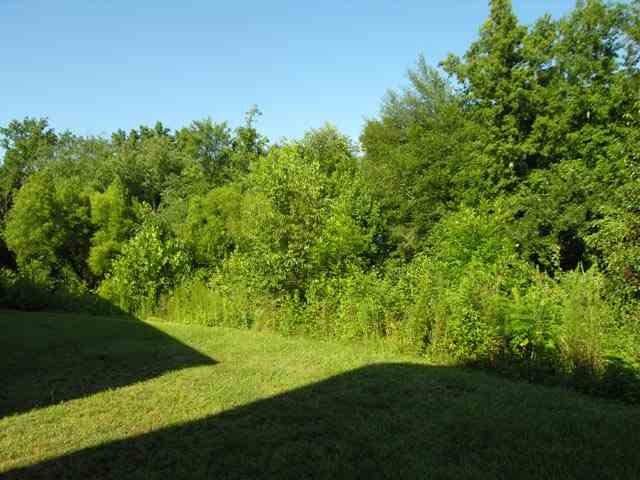 175 Burns Road Travelers Rest, SC 29690 - Photo 22 of 22 Gallery Image 22