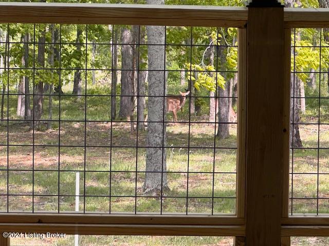 849 Indian Valley Road Falls Of Rough, KY 40119 - Photo 46 of 46 deer