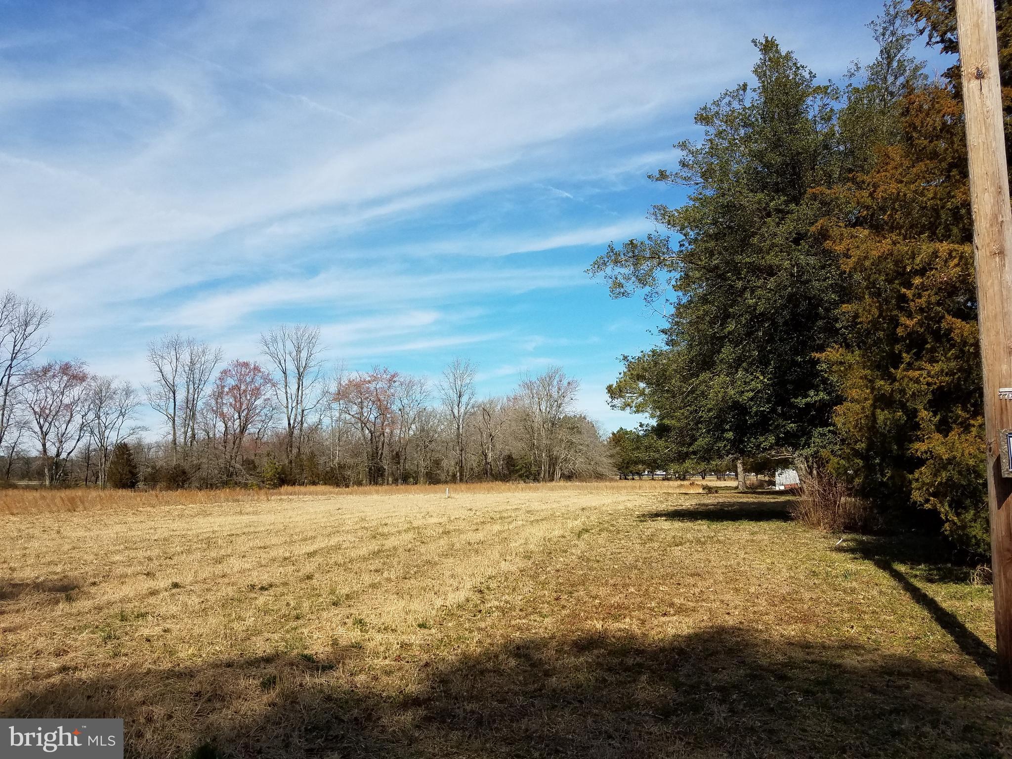 1 Rhodesdale Vienna Road Rhodesdale, MD 21659 - Photo 2 of 3 Perked land other side of lane also for sale
