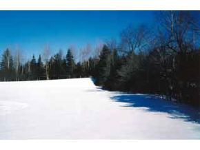 231 Schoolhouse Road Brownington, VT 05860 - Photo 2 of 2 Gallery Image 2