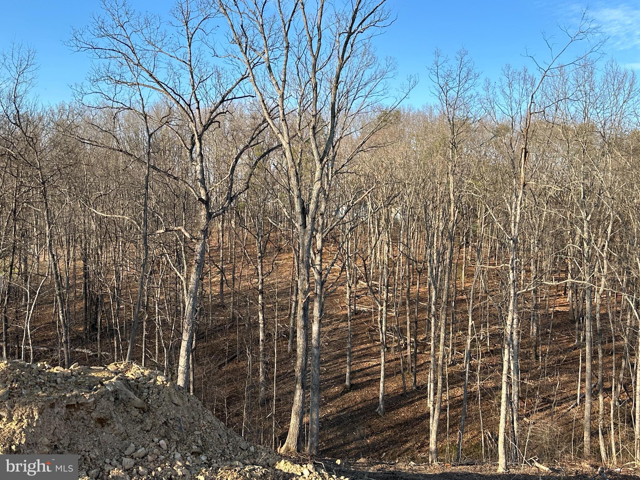 15 A West Strasburg Road Front Royal, VA 22630 - Photo 6 of 12 Rear yard