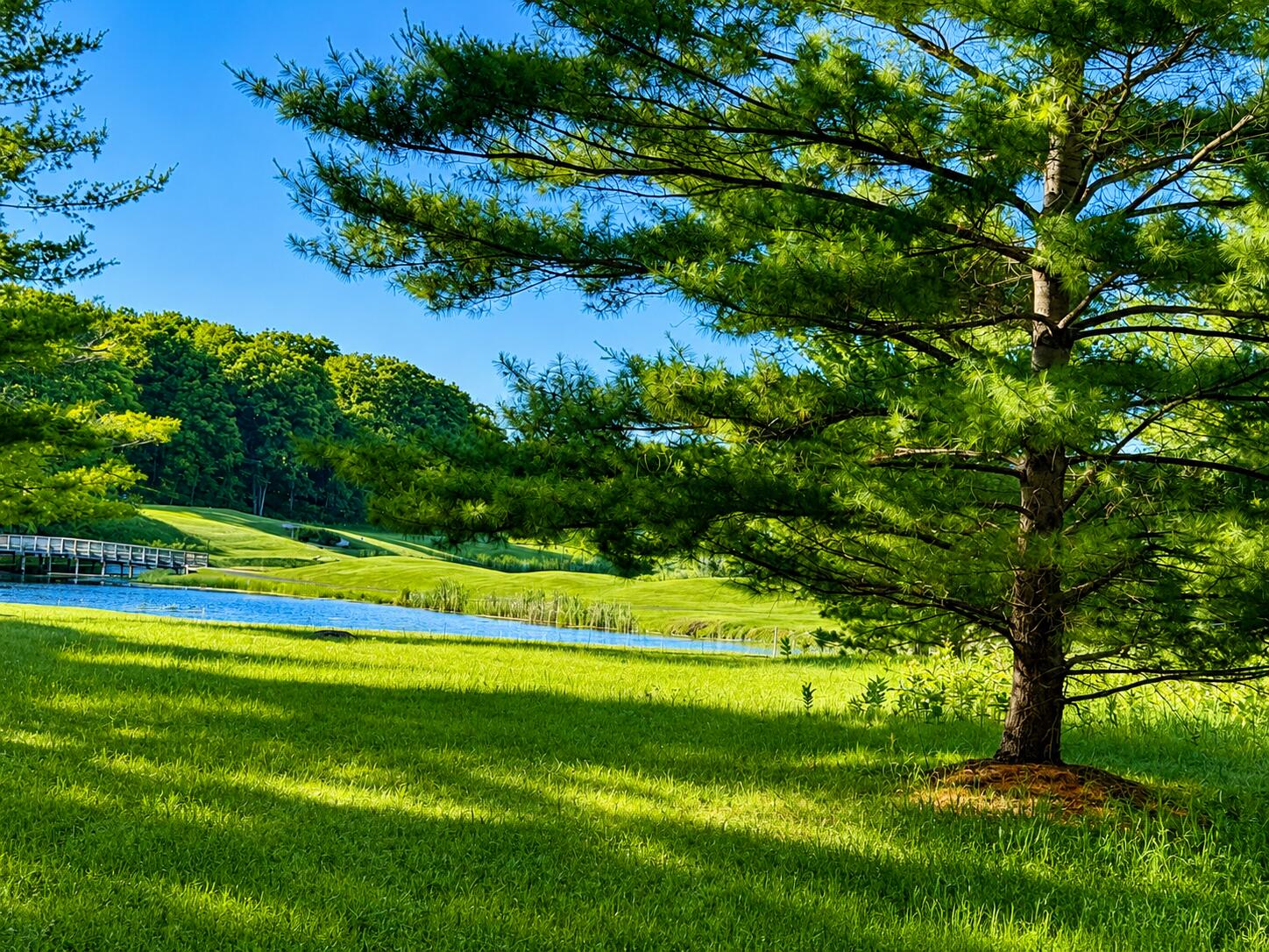 8988 Rambling Way, Unit 24 Canadian Lakes, MI 49346 - Photo 1 of 6 A5C0A5D7-B37F-49C7-BD1D-FC26AF998779