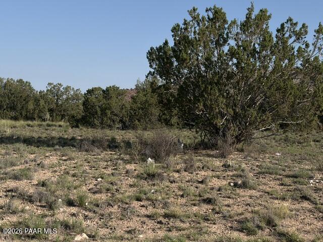 25840 Granada Road Seligman, AZ 86337 - Photo 4 of 7 IMG_1653