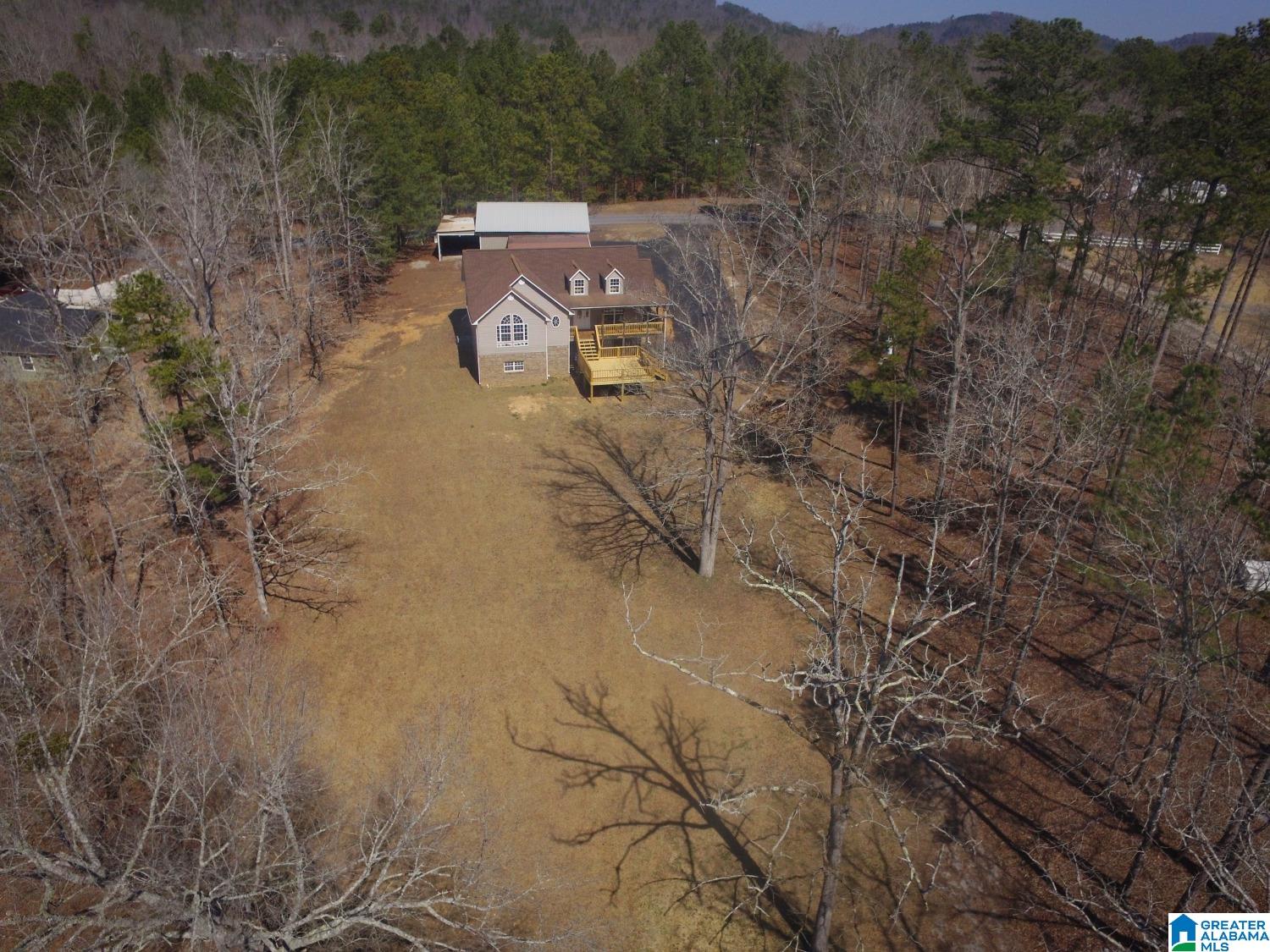 255 Sagebrush Road Ashville, AL 35953 - Photo 3 of 24