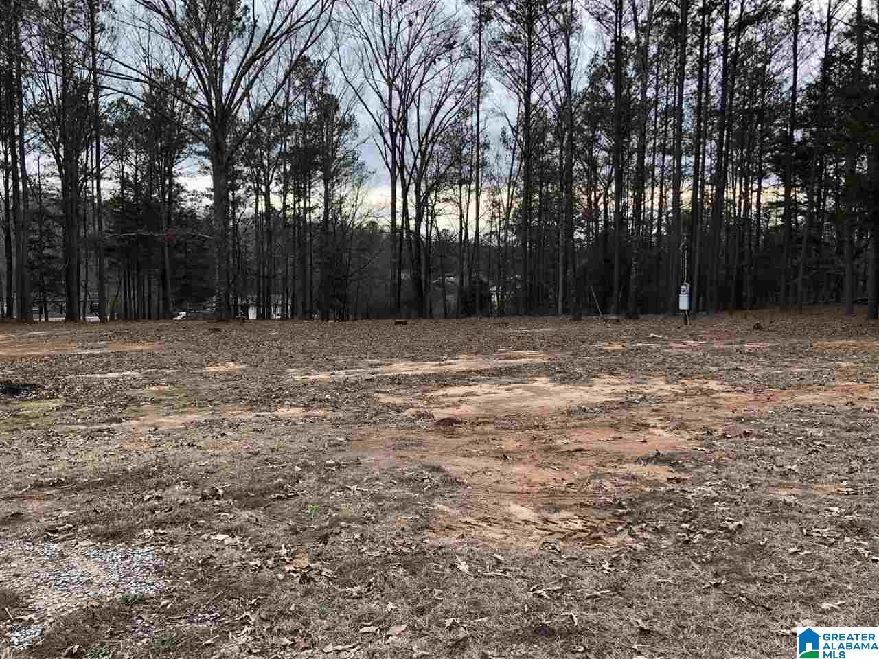 583 Race Track Road Centreville, AL 35042 - Photo 7 of 7