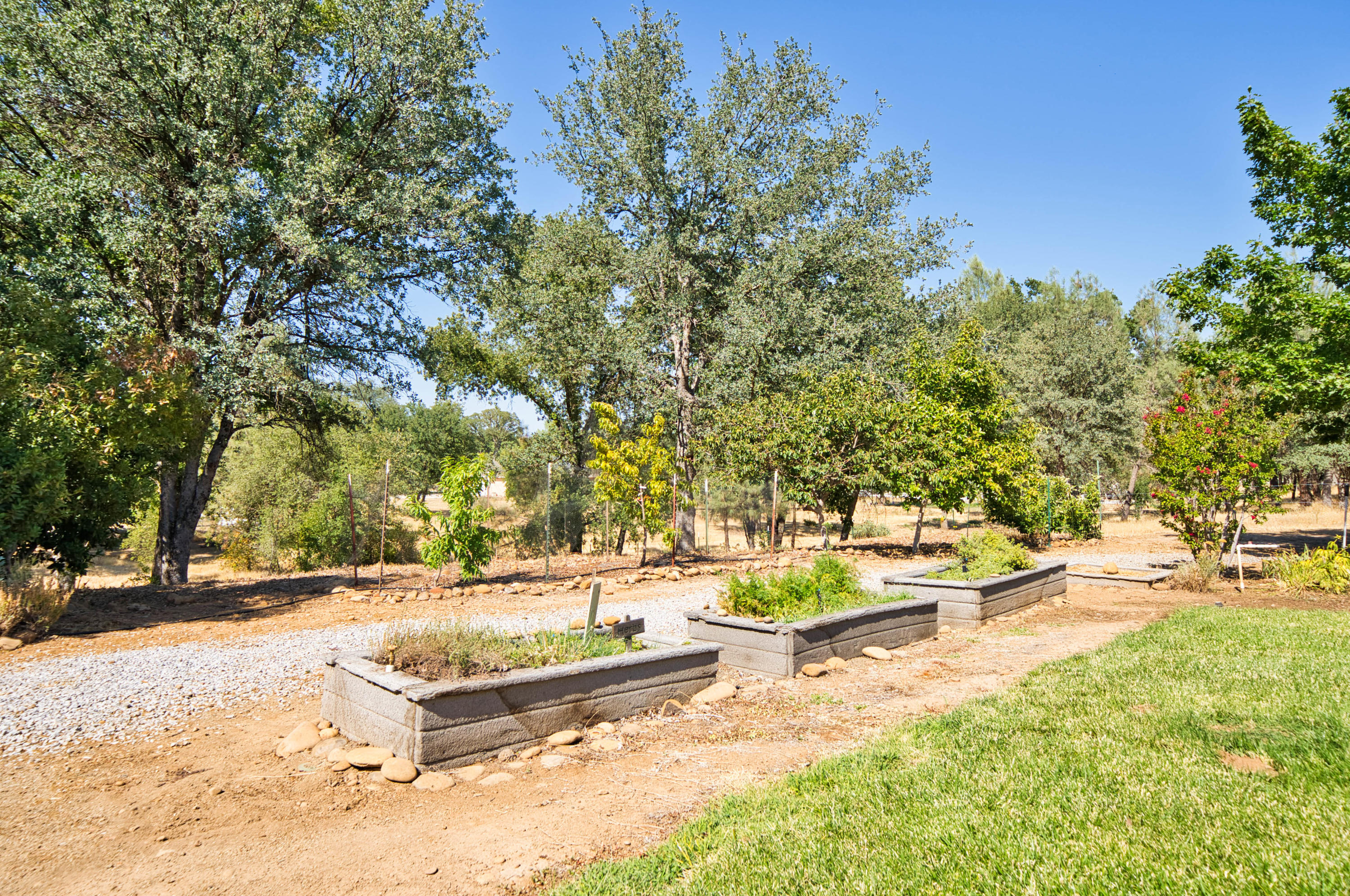 22650 Silverlode Lane Palo Cedro, CA 96073 - Photo 15 of 52 HARRISONM-14