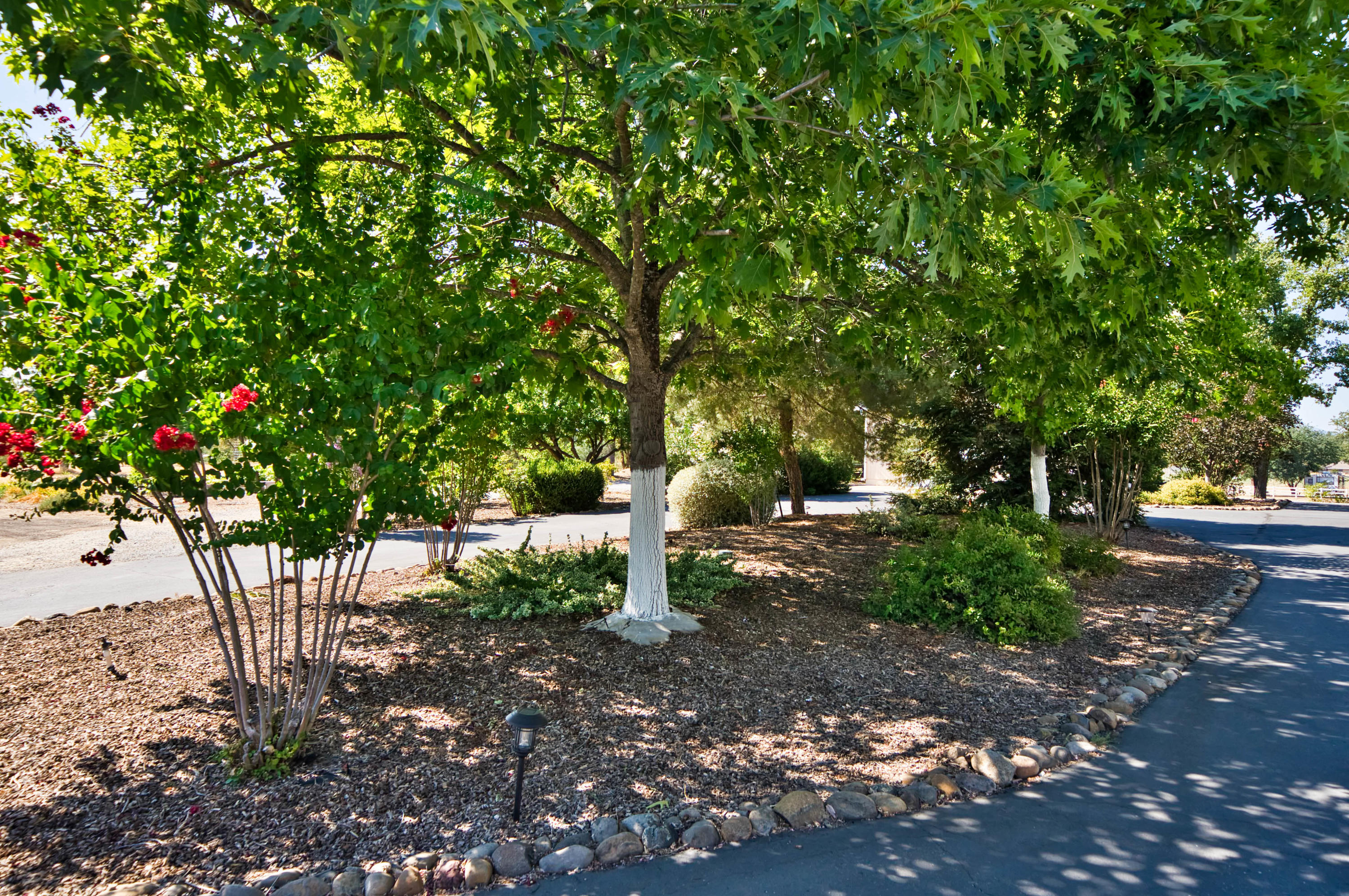 22650 Silverlode Lane Palo Cedro, CA 96073 - Photo 22 of 52 HARRISONM-21