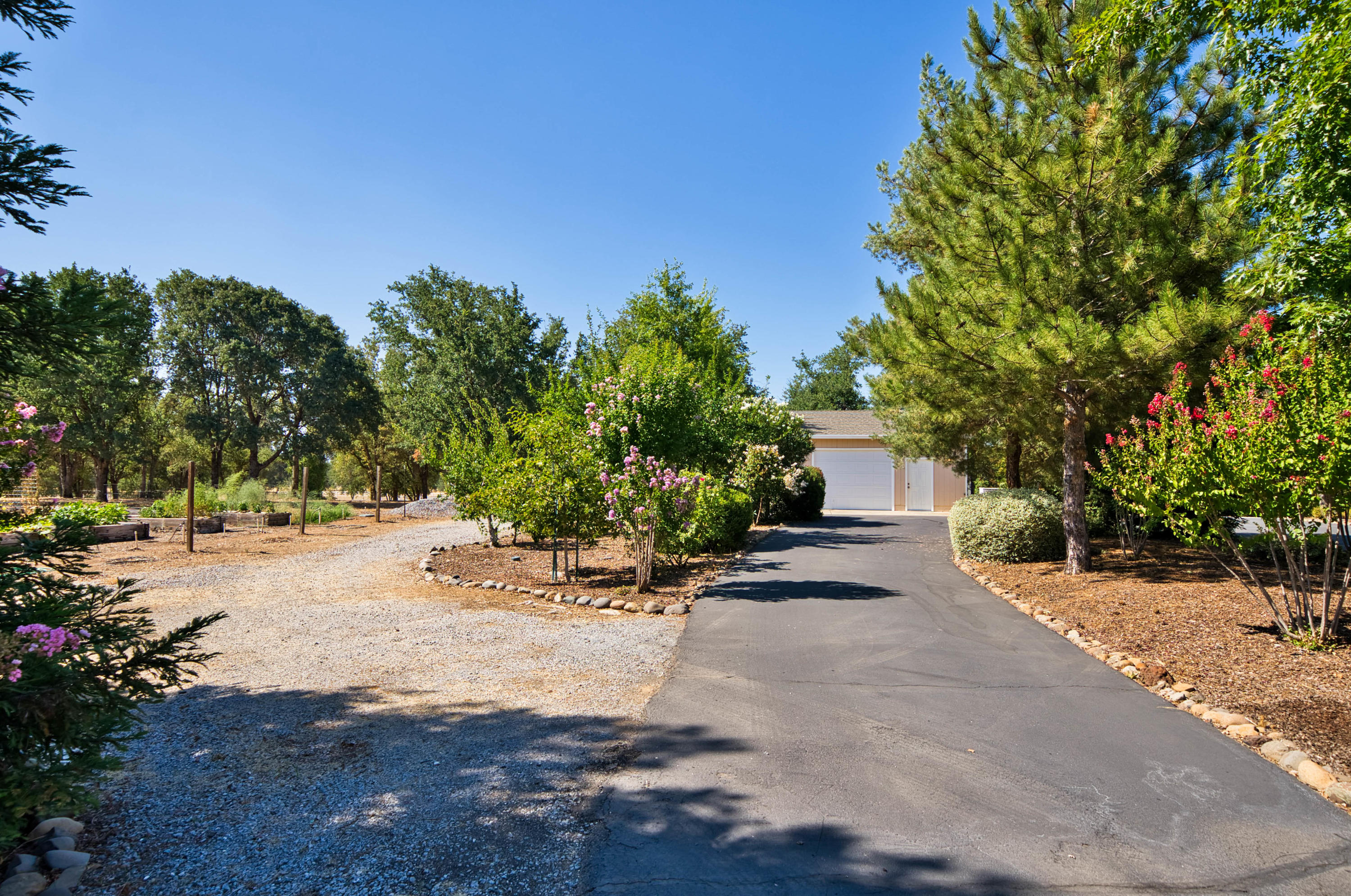 22650 Silverlode Lane Palo Cedro, CA 96073 - Photo 25 of 52 HARRISONM-24