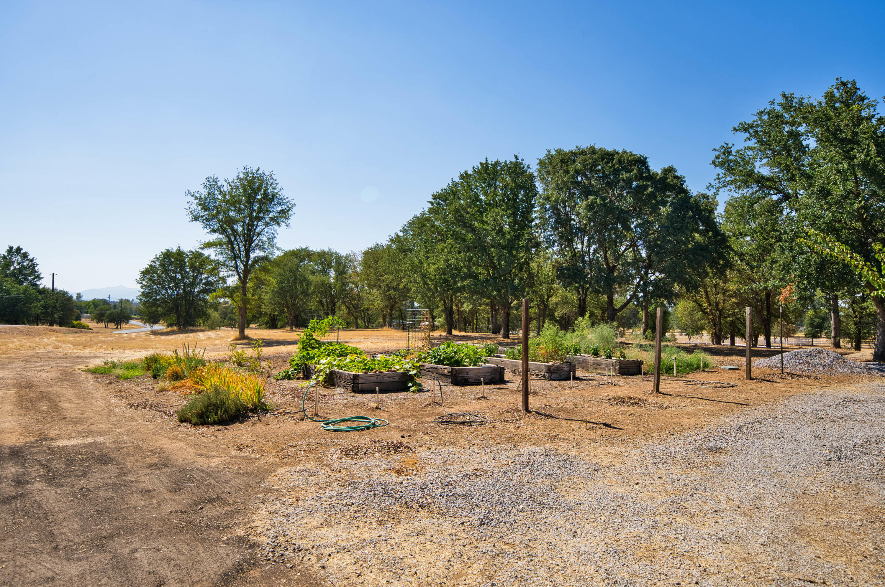 22650 Silverlode Lane Palo Cedro, CA 96073 - Photo 26 of 52 HARRISONM-25